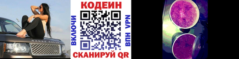 Кодеин Purple Drank  Купить  Приволжский 