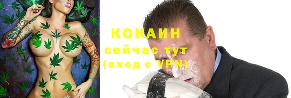 таблы Горняк
