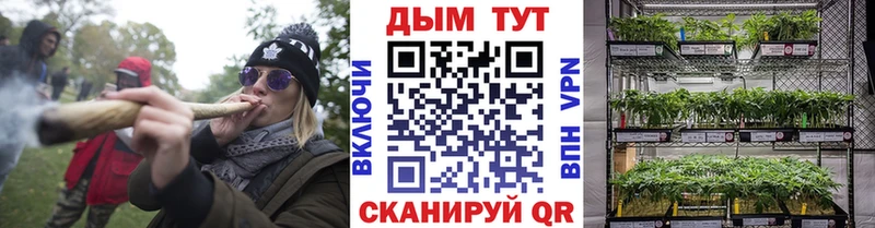 Купить закладки  Приволжский  Конопля Bruce Banner 